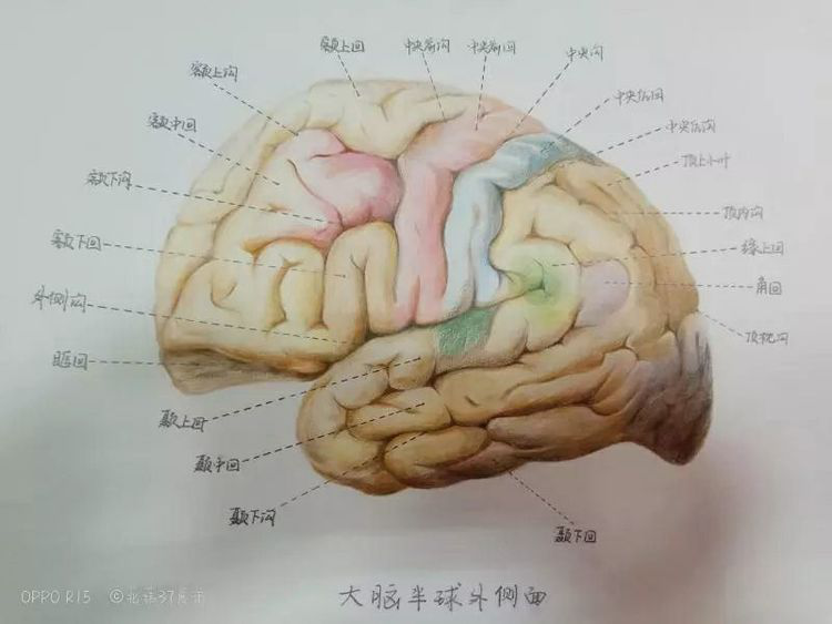 5cc800cee7f72.png